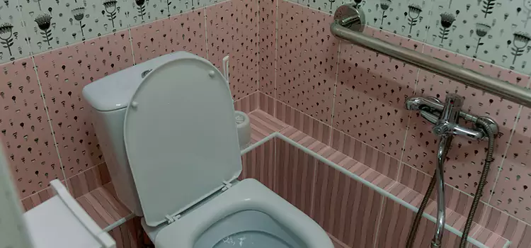 Meeting Diverse Needs With Accessible Restroom Solutions in Bellview, FL