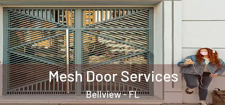  Mesh Door Services Bellview - FL